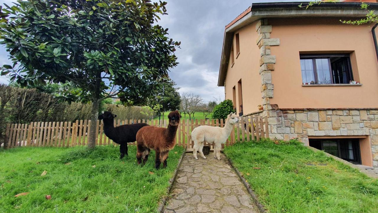 Hotel 3 Alpacas La Campa Dış mekan fotoğraf